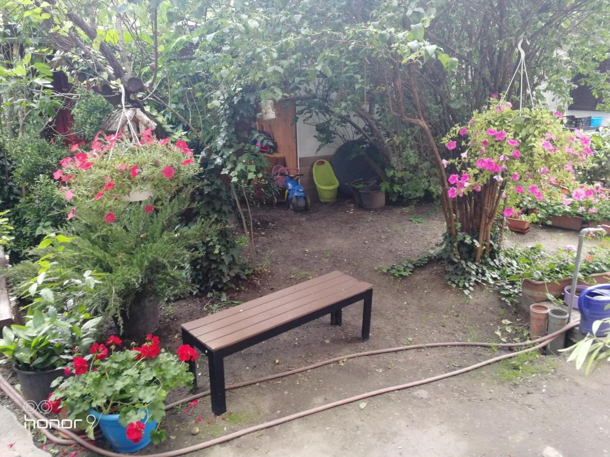 Hungaria Guesthouse Budapeszt Zewnętrze zdjęcie